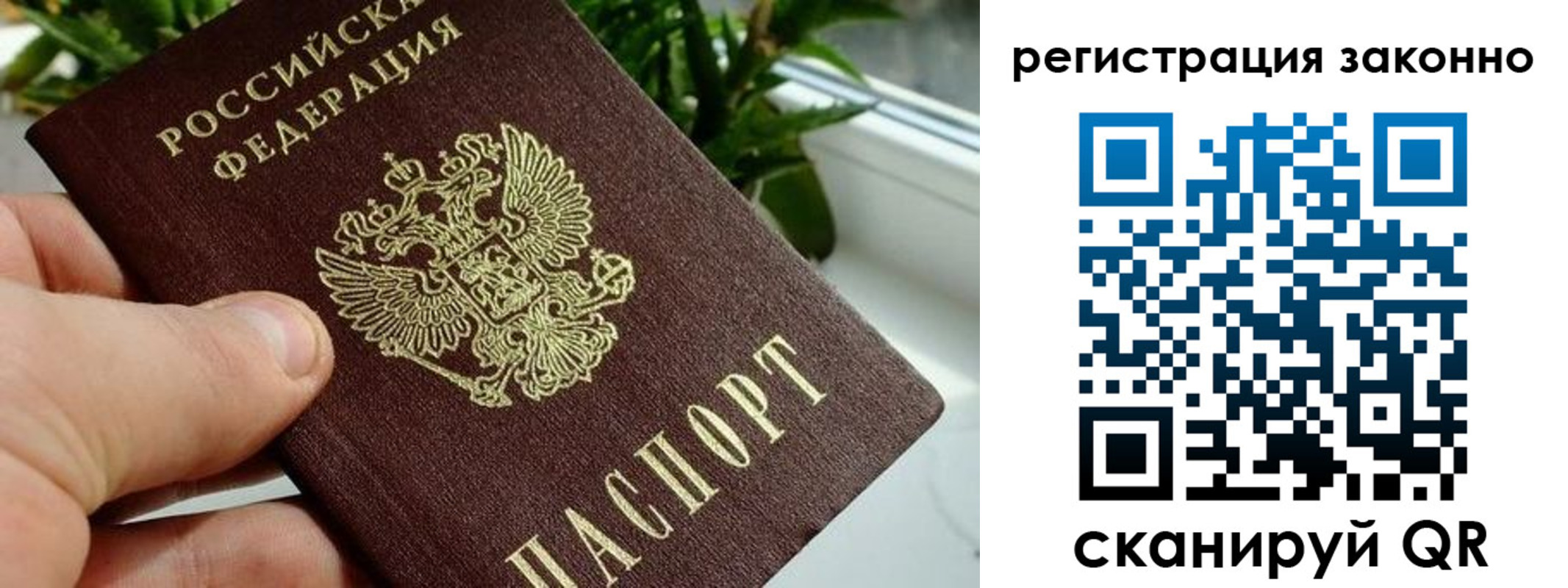 прописка гарантия в Можге